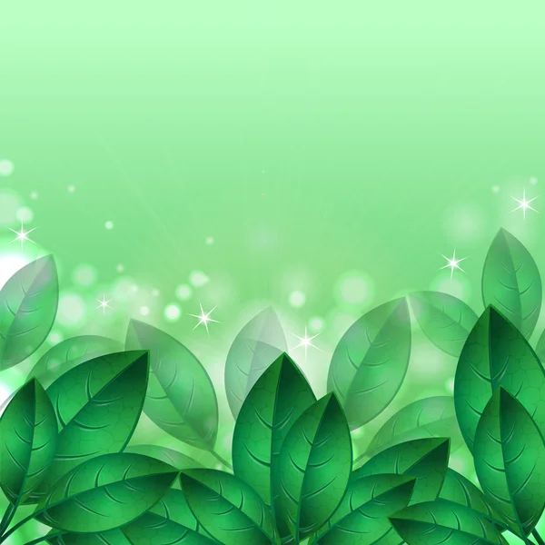 Green spring leaves.natural background.floral design.Place for y — Stock Vector