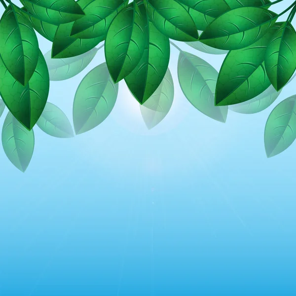 Mavi sky.natural background.flor bir zemin üzerine yeşil yaprakları — Stok Vektör