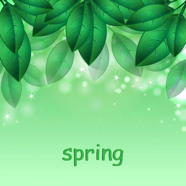 Groene lente leaves.natural background.floral design.place voor y — Stockvector