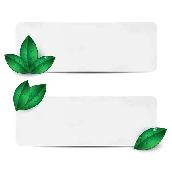 Iki sayfa kağıt yeşil yaprakları ile süslenmiş set — Stok Vektör