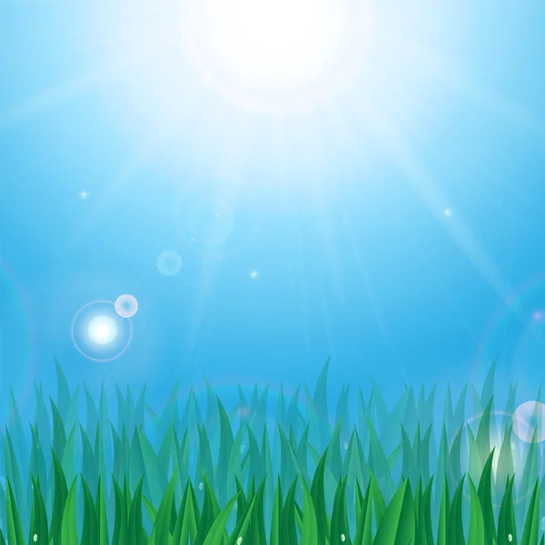 Sun and green grass with dew drops on background blue sky — Stock Vector