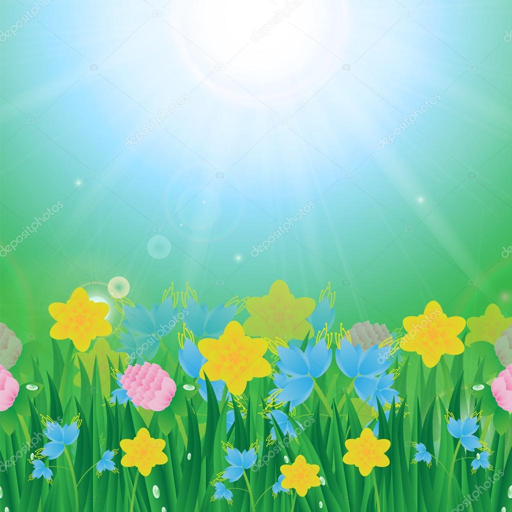 Prato con fiori colorati ed erba verde su uno sfondo di cielo blu e sole — Vettoriali di natashapetrova