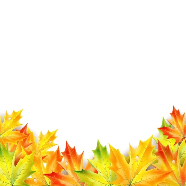 Hojas de arce de otoño sobre un fondo blanco — Vector de stock