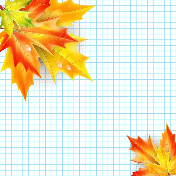 Otoño hojas de arce sobre un fondo de hoja de cuaderno con lugar — Vector de stock