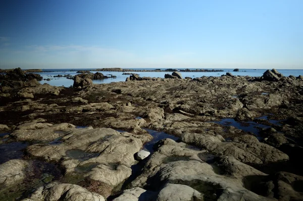 At the rock — Stock Photo, Image