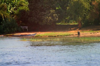 Nil Nehri