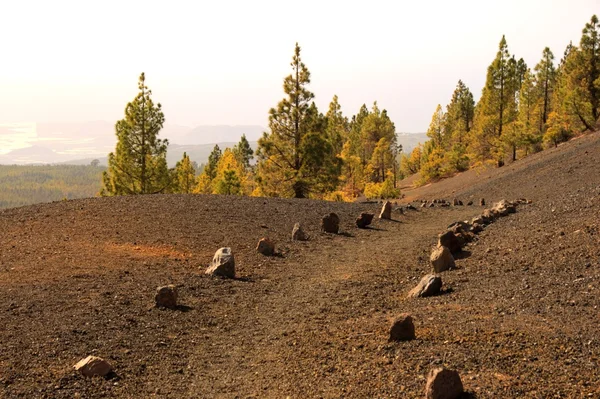 In vulkanischem Gelände — Stockfoto