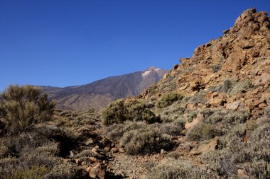 the teide