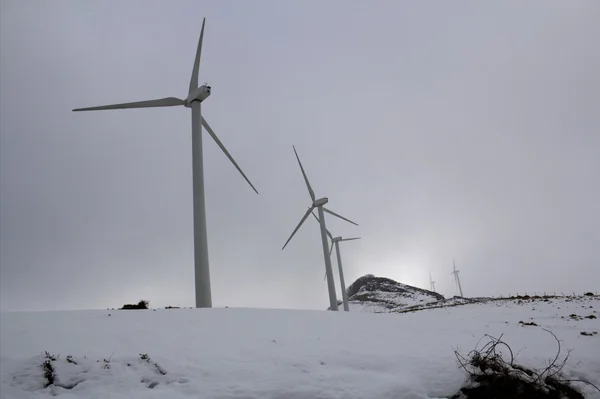 Die Windmühlen — Stockfoto