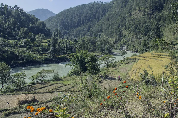 W Nepalu — Zdjęcie stockowe