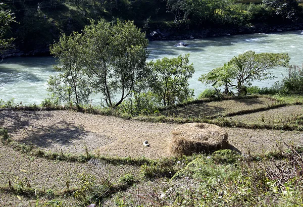 In nepal — Stockfoto