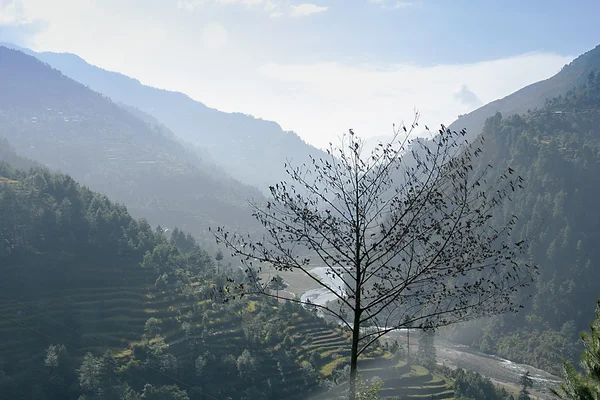 Nepal'de — Stok fotoğraf