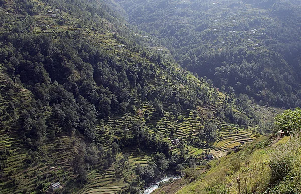 Valle verde — Foto de Stock