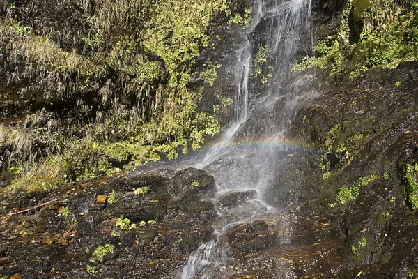 Cachoeira — Fotografia de Stock