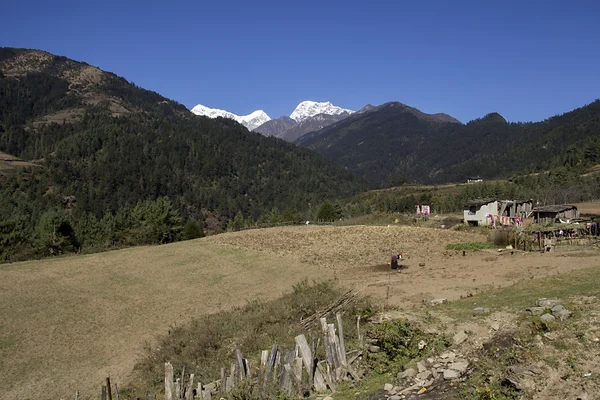 A farm — Stock Fotó