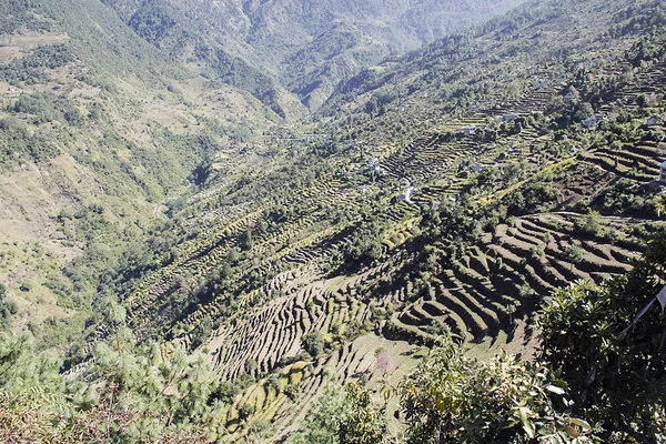 The valley — Stock Photo, Image