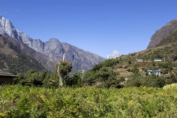 La gama — Foto de Stock