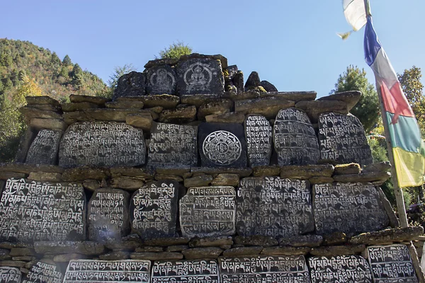 En piedra — Foto de Stock