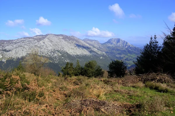 Doğa — Stok fotoğraf