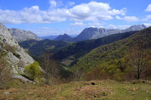 Beaty doğa — Stok fotoğraf