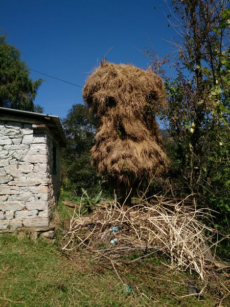 The farm — Stock Photo, Image