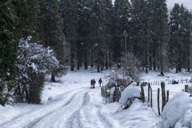 İspanya 'nın kuzeyindeki Bask ülkesinin karlı dağlarında yürüyen bir aile.