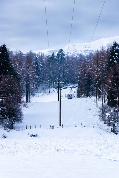 Electric Pole Snowy Hill Surrounded Forests — Stock Photo, Image