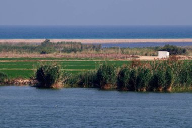 Ebro delta, güneşli bir günde İspanya 'nın Tarragona eyaletinde.