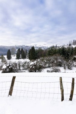 Bask ülkesinde arkasında gorbea olan karlı bir dağda çit.
