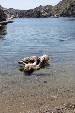 Bir yaz günü Cap de Creus 'ta bir körfezin kıyısında bir sandık.