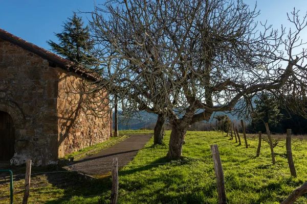 Poustevna Euskadi Městě Arrigorriaga Stromem Vedle Něj — Stock fotografie
