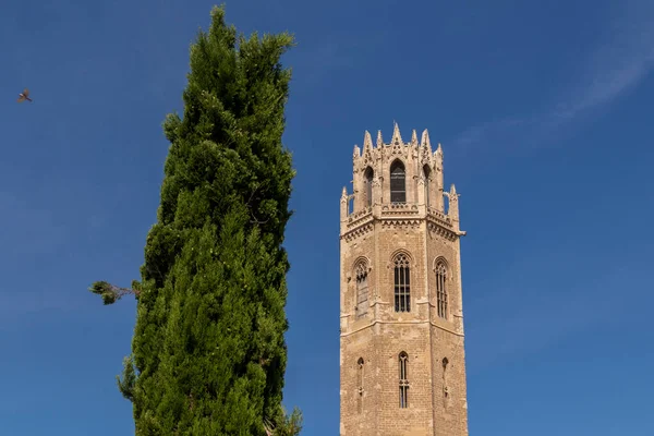 Tornet Katedralen Lerida Med Ett Träd Bredvid — Stockfoto