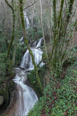 Altube 'da şelale, İspanya' nın kuzeyinde Alava eyaletinde.