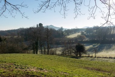 Alava 'nın yeşil vadisi güneşli bir kış sabahı