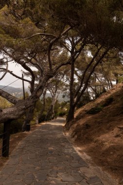 Kosta brava 'da Tossa de mar' daki sahil yolu.
