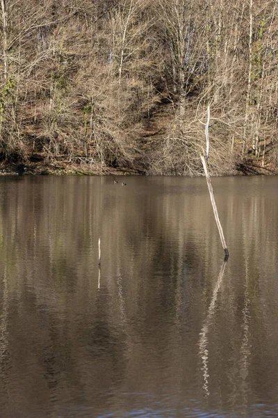 バスクのアラバ州の湖からトランクが出てきました — ストック写真