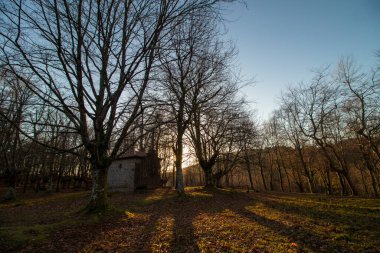 Bask bölgesindeki kayın ormanları Vizcaya eyaletinin Urkiola Dağı 'nda.