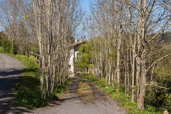 Entrada Para Uma Casa Típica País Basco — Fotografia de Stock