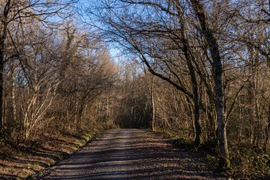 İspanya 'nın kuzeyindeki Alava dağlarında kırsal yol
