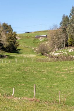 Yeşil çayırları ve kulübesi olan Bask kırsal tepesi