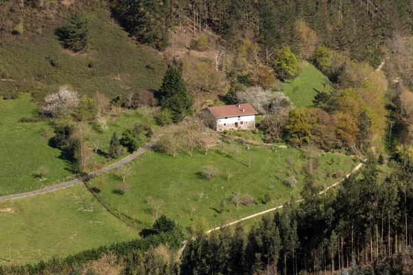 Bondgård Grön Dal Vizcaya — Stockfoto