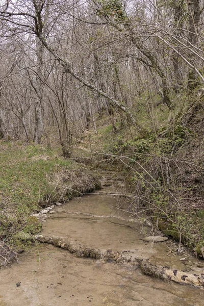 Stream Forest Kuartango Valley North Spain — Stock Photo, Image