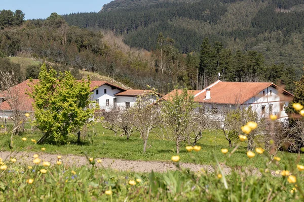 Vidéki Környéken Vizcaya Tipikus Parasztházak Baszk — Stock Fotó