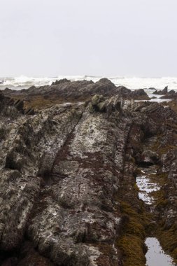 Bask ülkesinde dalgalı kayalık sahil