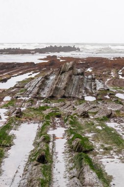 Sopelana 'da uçmak Cantabrian Denizi' nde alçak gelgitte bulutlu bir günde