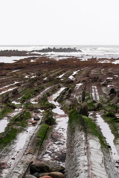 Flysch Sopelana Kantabrischen Meer Bei Ebbe Einem Bewölkten Tag — Stockfoto