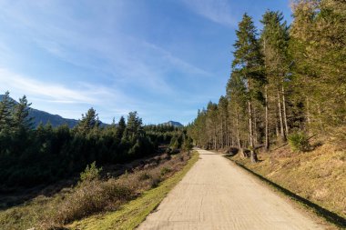 Bask ülkesinin tepelerinden geçen dağ yolu.