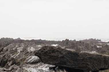 Bask kıyısında bir sinek bulutlu bir günde