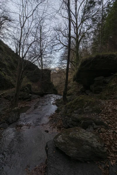 Stream Mountain Basque Country — Stock fotografie