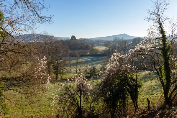 Das Grüne Tal Von Alava Ein Sonniger Wintermorgen — Stockfoto